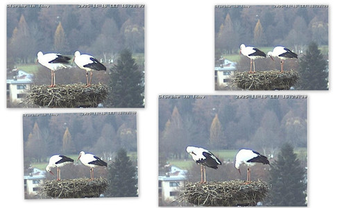 Bilder2.jpg