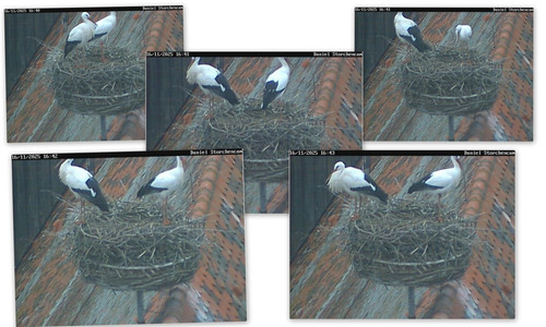 Bilder3.jpg