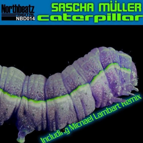 Sascha Müller Caterpillar.jpg