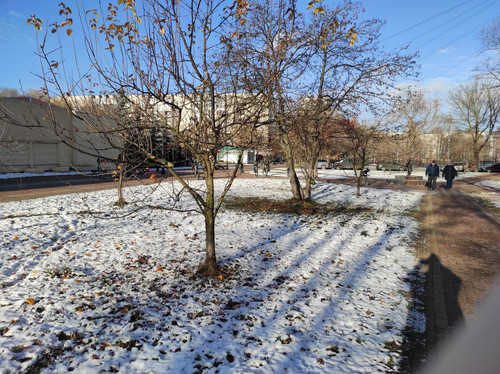 IMG 20251116 132713 1600x1200.jpg