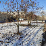 IMG 20251116 132713 1600x1200