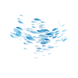 —Pngtree—shoal of fish 6019438