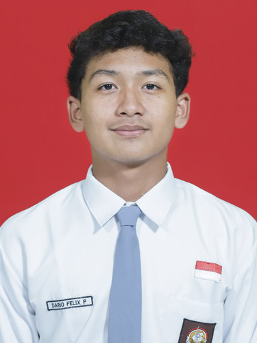 DARIO FELIX P.jpg
