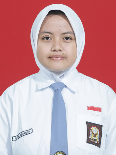 AMEERA NUSANTARA.jpg