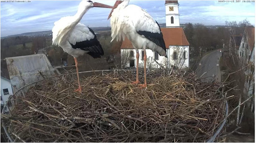 MWSnap686.jpg