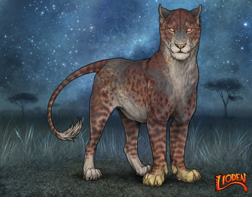 lioden wardrobe 2025 11 16T141919.393.png