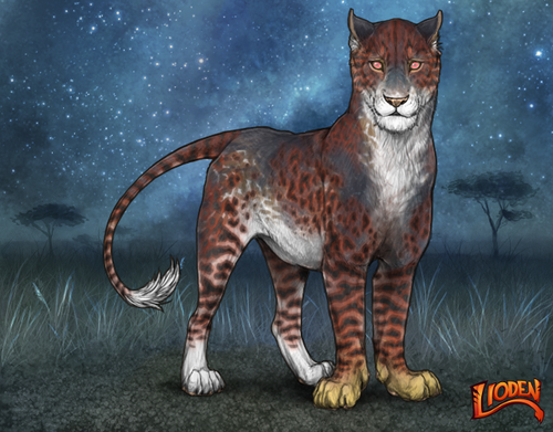 lioden wardrobe 2025 11 16T141923.159.png