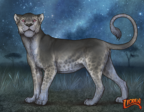 lioden wardrobe 2025 11 16T141651.071.png