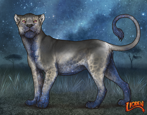 lioden wardrobe 2025 11 16T141654.871.png