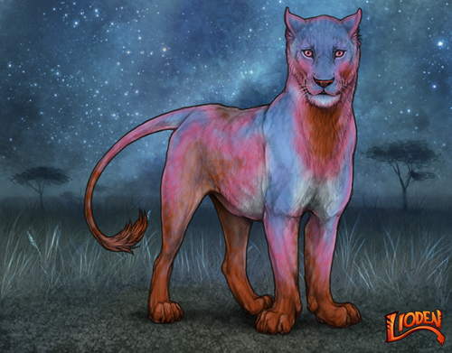 lioden wardrobe 2025 11 16T142356.846.png