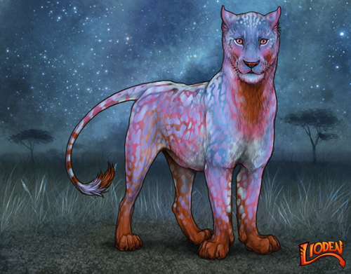 lioden wardrobe 2025 11 16T142400.821.png