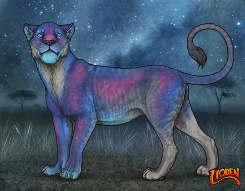 lioden wardrobe 2025 11 16T142214.251.png