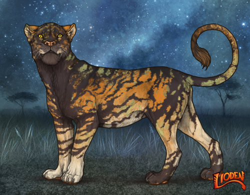 lioden wardrobe 2025 11 16T141206.260.png