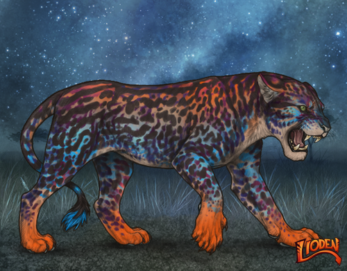 lioden wardrobe 2025 11 16T141039.265.png