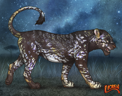 lioden wardrobe 2025 11 16T141126.816.png