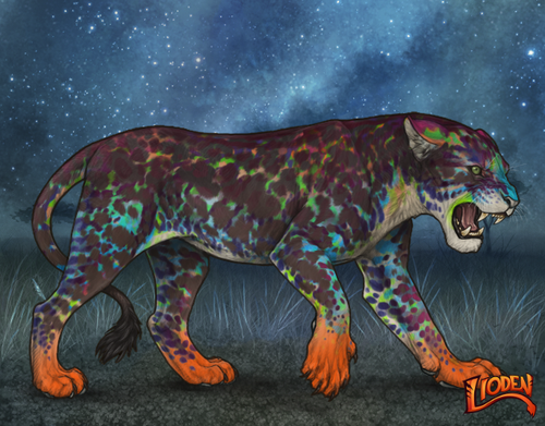 lioden wardrobe 2025 11 16T140900.317.png