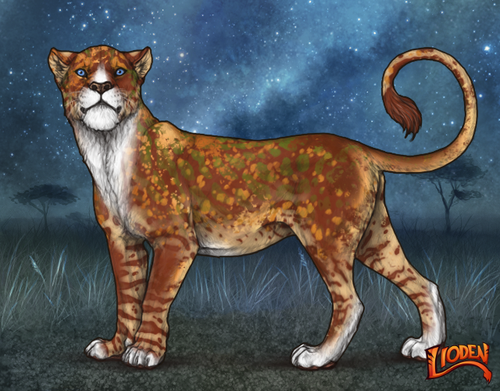 lioden wardrobe 2025 11 16T140717.342.png