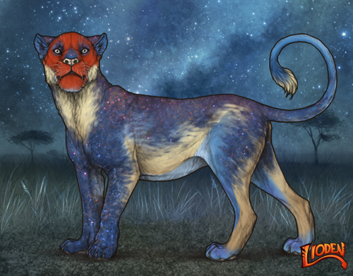 lioden wardrobe 2025 11 16T140750.329.png