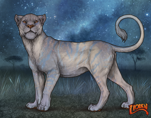 lioden wardrobe 2025 11 16T141804.772.png