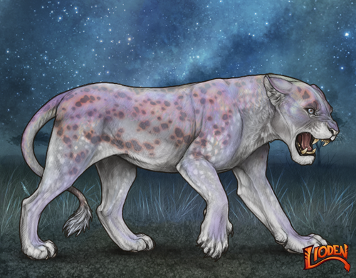 lioden wardrobe 2025 11 16T142515.193.png