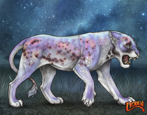 lioden wardrobe 2025 11 16T142518.092.png