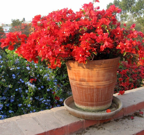 7179096918 f0667f267b b.jpg