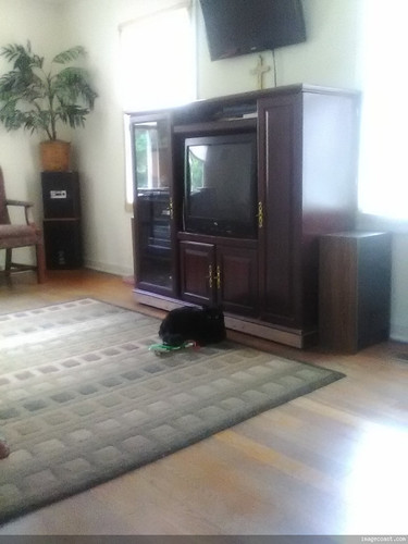 Miss Snickers On 5 4 25.jpg