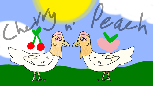 Cherry and Peach.png