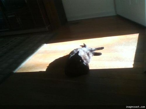 10 03 20 Snickers.jpg