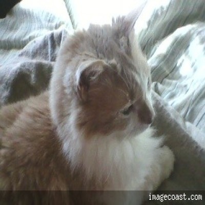 011815140200 400x400.jpg