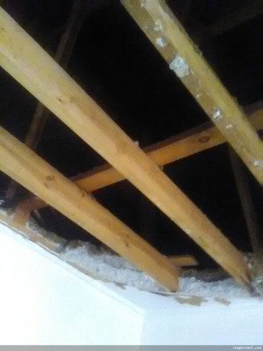 Dining Room Ceiling Collapse 2 22 23 3.jpg