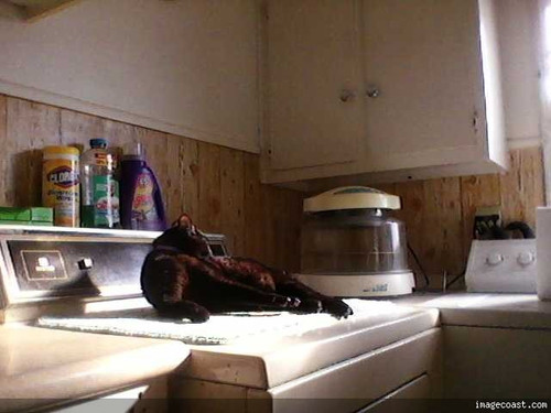 Getting A Tan 12 21 16.jpg