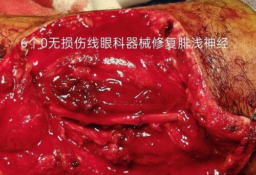 IMG 20251117 045044.jpg