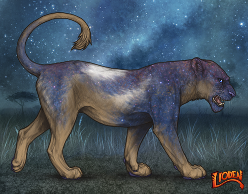 lioden wardrobe 2025 11 16T142930.100.png