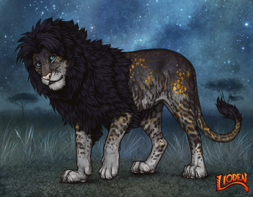 lioden wardrobe 2025 11 16T143639.977.png