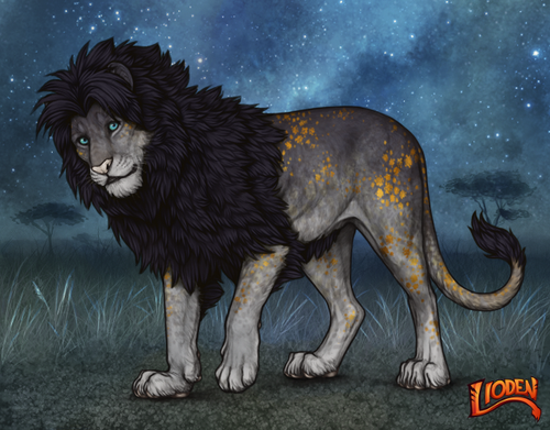 lioden wardrobe 2025 11 16T143636.060.png