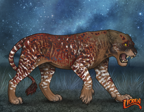 lioden wardrobe 2025 11 16T143827.654.png