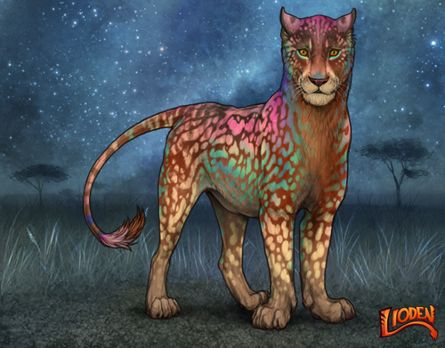 lioden wardrobe 2025 11 16T144401.076.png