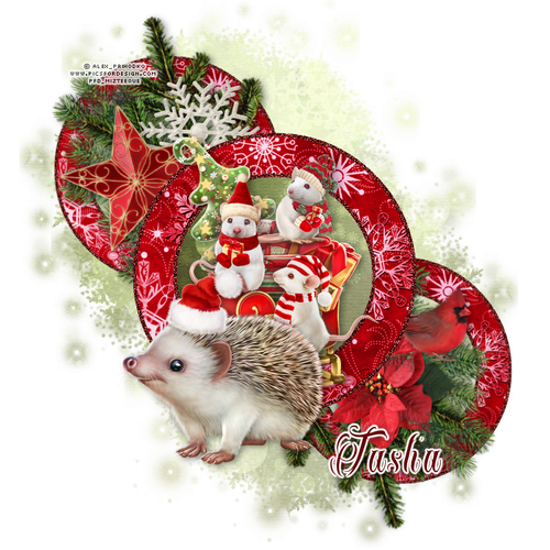 christmascheertasha.png
