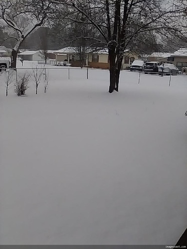 Moms Snow 11025 1.jpg
