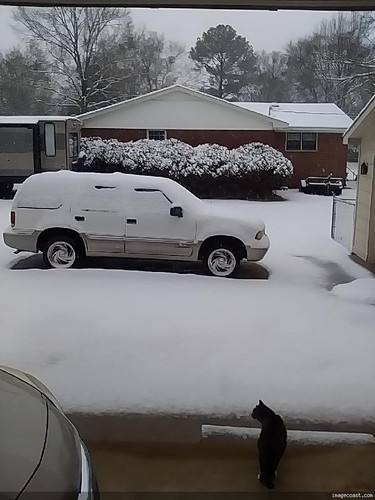 Moms Snow 11025 3.jpg