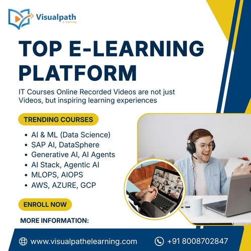 Online IT Courses  , Best eLearning platform - Visualpathelearning.jpg