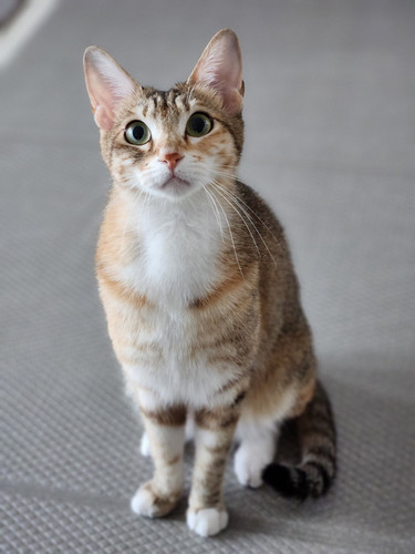 KakaoTalk 20251107 230823105.jpg