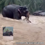 CleanShot 2025 12 04 at 06.17.13.png