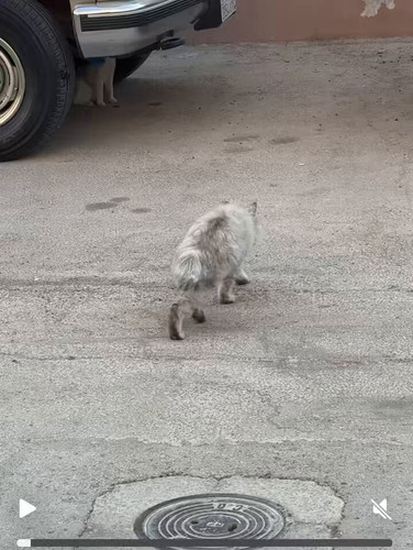 B meEJZEC xnw3mY.jpg