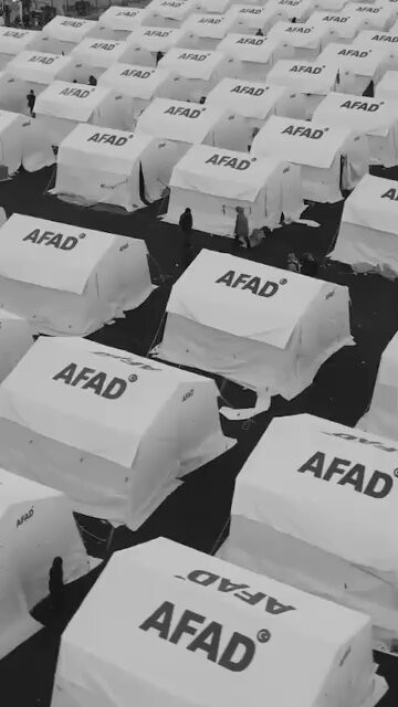 01AiiV agQ7L9DiT.jpg