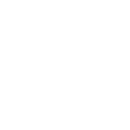 noesis logo.png