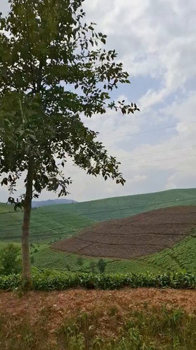 MnDwalvrk eOrYZF.jpg