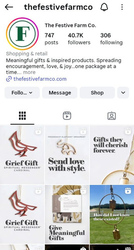 WhatsApp Image 2025 12 03 at 00.34.34 fe6b435a.jpg