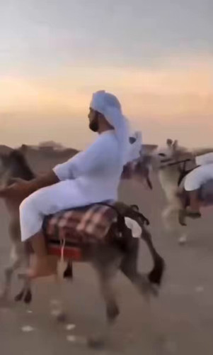 9LuvN PDB 5MUVkW.jpg